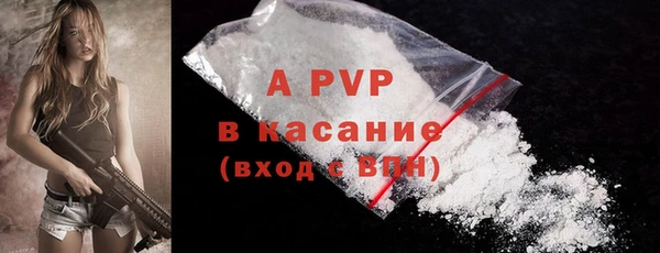 spice Няндома