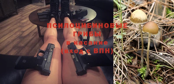 амф Нязепетровск