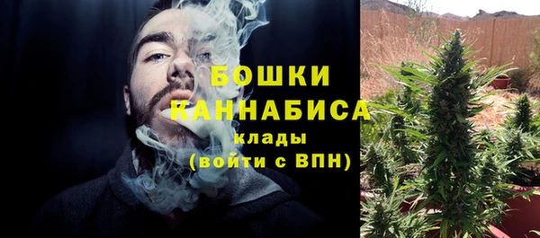 амф Нязепетровск