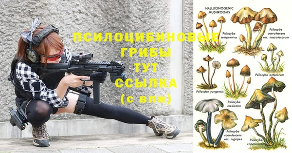 mix Осташков