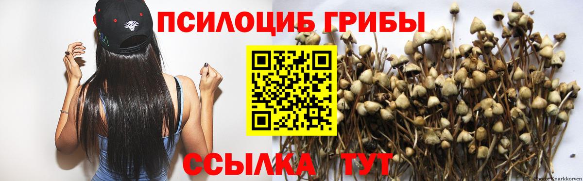 Майский  Галлюциногенные грибы Cubensis  Вход с VPN 