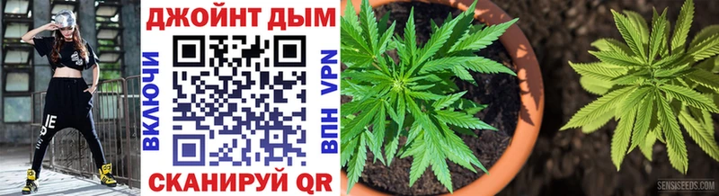 Конопля план  Майский 